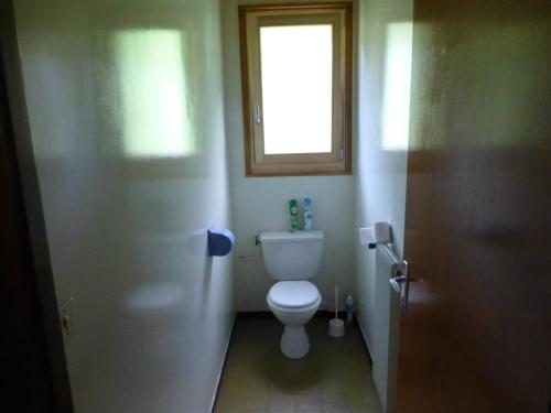 een badkamer met een toilet en een raam bij Le Fayet d'en haut in Abondance