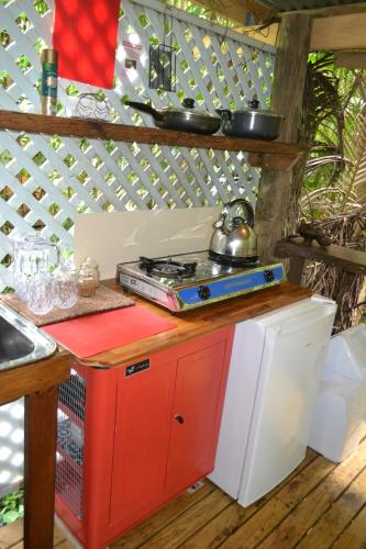 a stove top oven sitting on top of a counter at Rainforest Hideaway in Cape Tribulation