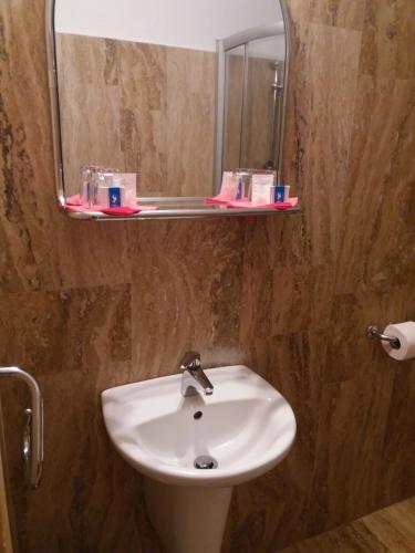 uma casa de banho com um lavatório e um espelho em Vila Sara/Adult Only em Sovata