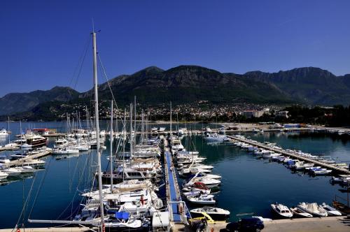 a bunch of boats docked in a harbor with mountains at Rooms & Apartments Anka in Bar