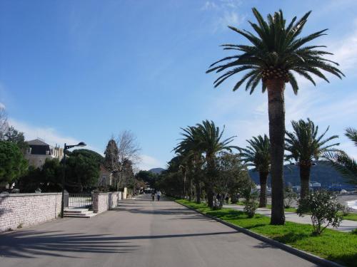 a street with palm trees on the side of a road at Rooms & Apartments Anka in Bar