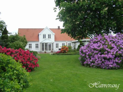 una casa bianca con fiori rosa e viola nel cortile di Havrevang a Billund