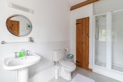 a bathroom with a toilet and a sink and a mirror at Prospect Farm Cottages in Allerston