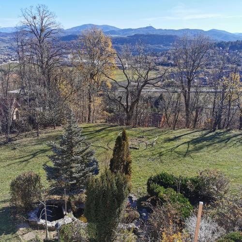 un champ verdoyant avec un arbre de Noël sur une colline dans l'établissement Aux chataigniers alpins, à Gap