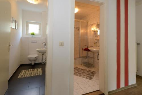 a bathroom with a toilet and a sink at Ferienwohnungen Schmid in Lam