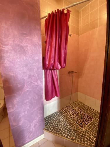 d'une douche avec rideau de douche rose et de carrelage. dans l'établissement Château Villemagne, à Lagrasse