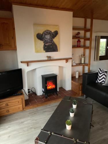 ストランラーにあるLodge Cabin with Fabulous Views - Farm Holidayのリビングルーム(暖炉、ソファ付)