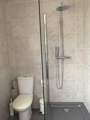 une salle de bain avec toilettes et douche dans l'établissement casa lola, à Obernai