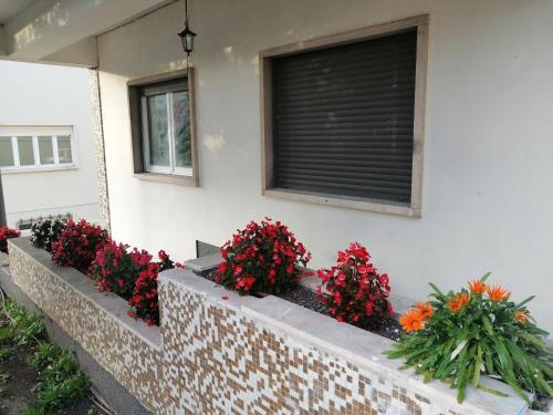 Φωτογραφία από το άλμπουμ του Plena Vita RESIDENCE σε Loures