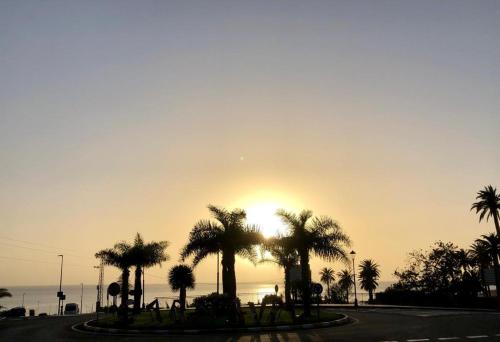 a sunset with palm trees on a road at Holiday in Playa Calera - Swimming pool in Valle Gran Rey