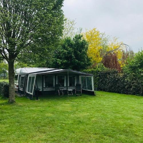 a tent sitting in a yard next to a tree at Boutique Hotel en B&B De Zwammenberg in De Moer