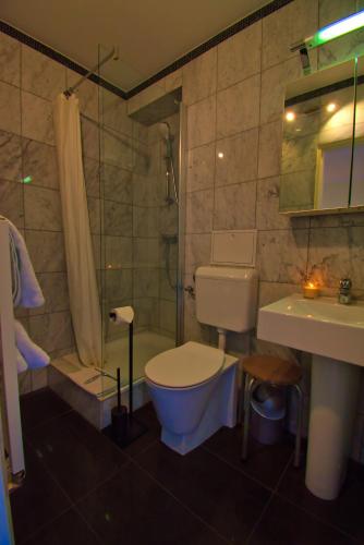 a bathroom with a toilet and a shower and a sink at Altstadtapartment Mainz in Mainz