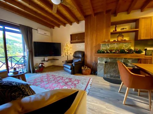 a living room with a couch and a fireplace at Cozy mountain apartment in Platres in Platres