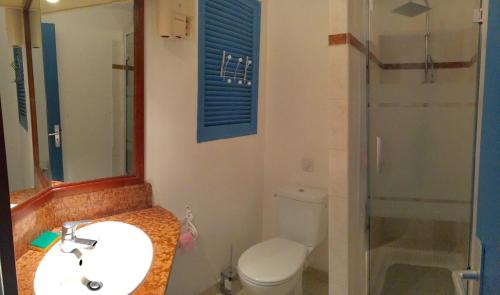 a bathroom with a sink and a toilet and a shower at Studios Haut de Caritan in Sainte-Anne