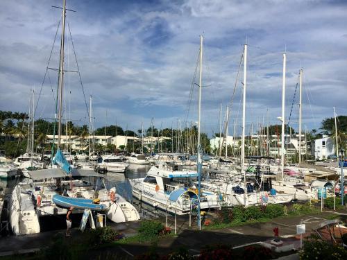 un groupe de bateaux amarrés dans un port dans l'établissement Lipez View Marina, à Les Trois-Îlets