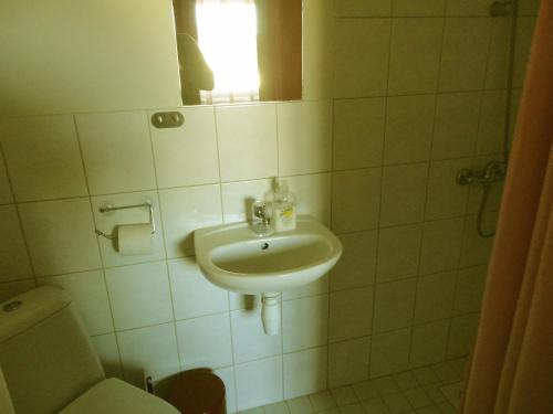 a bathroom with a sink and a toilet and a window at Anette House in Pärnu