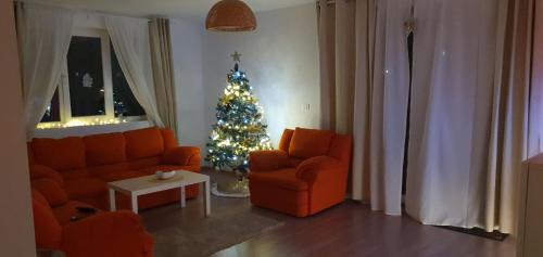 a living room with a christmas tree and a couch at Carpen View Residence in Săcele