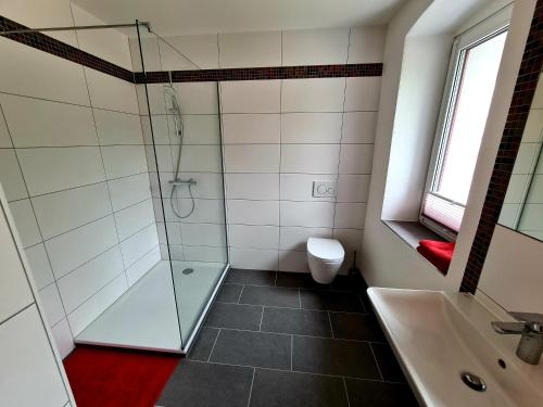 a bathroom with a shower and a toilet and a sink at wohnung-nummer-3 in Pielenhofen