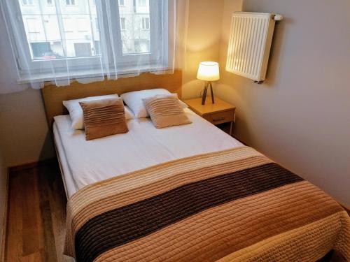 1 dormitorio con 1 cama grande y ventana en Family Homes - Apartamenty Bursztynowe, en Władysławowo