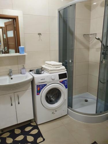 a bathroom with a washing machine and a shower at Квартира-студія in Luts'k