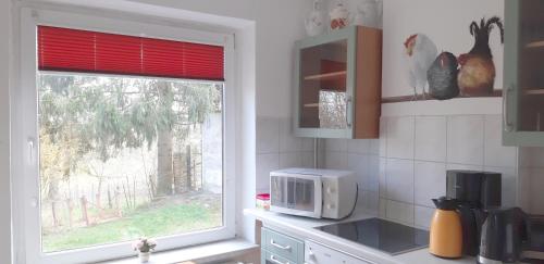 uma cozinha com um micro-ondas e uma janela em Bei Käthe 