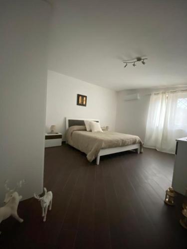 a bedroom with a bed and a dog walking around it at B&B Le Rocce in Castel San Giorgio