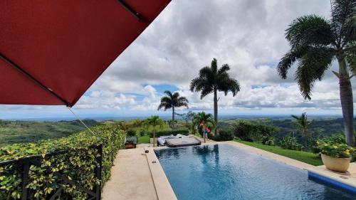 a pool with a view of the ocean and palm trees at Hawk's Nest Bed & Breakfast in La Laguna de San Carlos