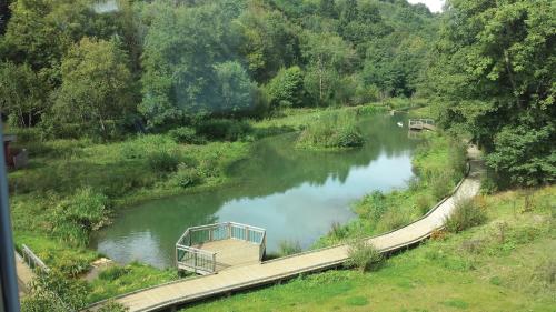 a bridge over a river in a field at Le Presbytère in Differdange