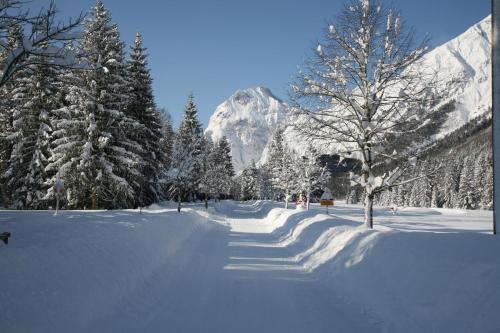 a snow covered road with trees and a mountain at Garni Das SONNALP in Maurach