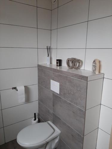 a bathroom with a white toilet and a sink at Hooibeemd in Assen