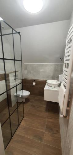 a bathroom with a toilet and a sink at Dom Pod Groniem in Rzyki