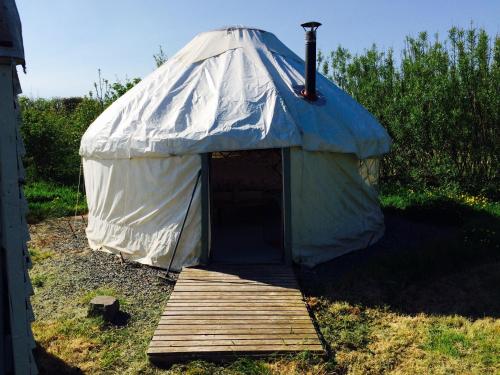 a yurt with a wooden platform in a field at Mill Haven Place glamping-yurt 2 in Haverfordwest