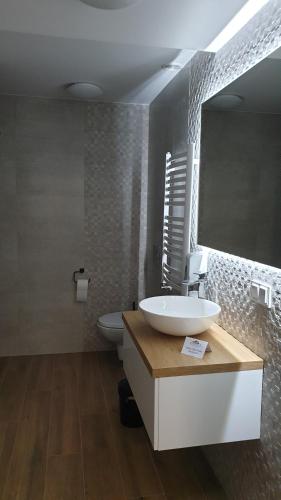 a bathroom with a sink and a toilet and a mirror at Dom Pod Groniem in Rzyki