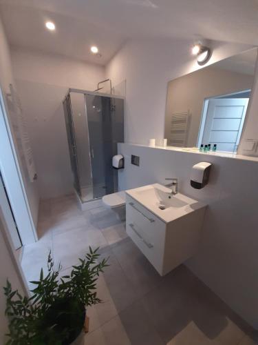 Kúpeľňa v ubytovaní Apartamenty Szlachecki Dwór