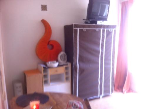 Televisyen dan/atau pusat hiburan di Studio confortable, Rennes les bains, 17 m² + Balcon