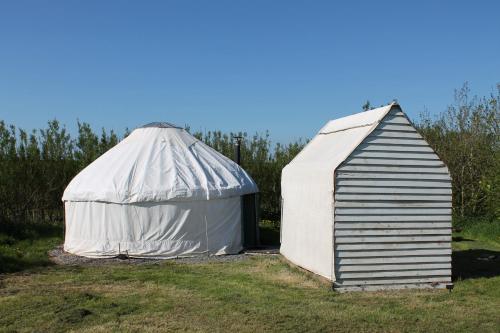 a large white tent with a small shed at Mill Haven Place glamping yurt 3 in Haverfordwest