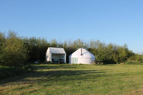 two domes and a greenhouse in a field at Mill Haven Place glamping yurt 3 in Haverfordwest