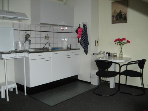 eine Küche mit einem Waschbecken und einem Tisch mit Stühlen in der Unterkunft BB Salem in Strijen