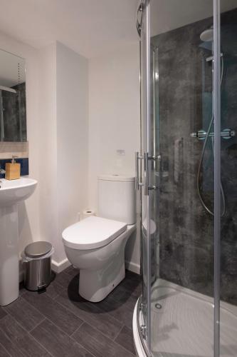 a bathroom with a toilet and a shower at Jopes Mill and Lodge in Looe