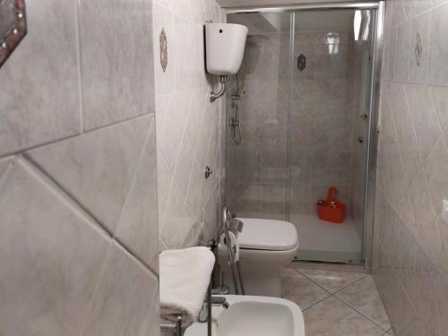 a bathroom with a shower and a toilet and a sink at Borgo Antico in Portocannone