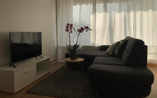 a living room with a couch and a flat screen tv at Bel Appartement near Bâle Mulhouse Airport in Saint-Louis