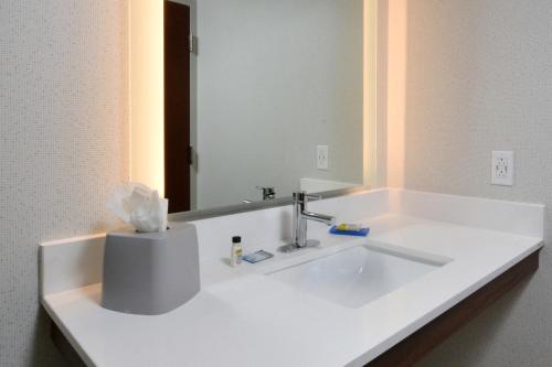 a bathroom with a white sink and a mirror at Holiday Inn Express Durham, an IHG Hotel in Durham