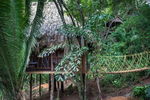 a hammock in the middle of a forest at Sweet Songs Jungle Lodge in San Ignacio