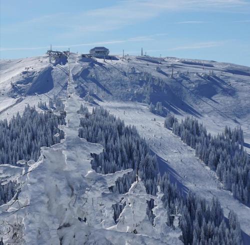 a snow covered hill with trees on a mountain at Megi apartman - Konaci Maglic in Kopaonik