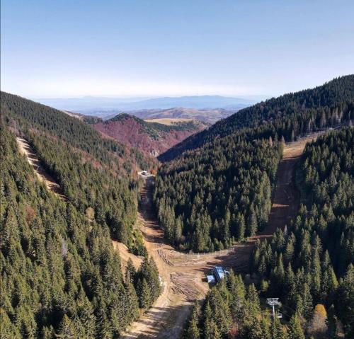 an aerial view of a river in a forest at Megi apartman - Konaci Maglic in Kopaonik