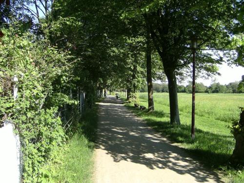 a dirt road with trees on both sides at Leisewitz' Garten in Celle