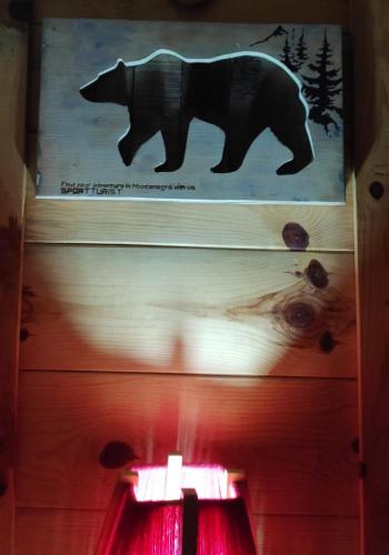 a picture of a bear on the ceiling of a room at Apartments Life in Kolašin