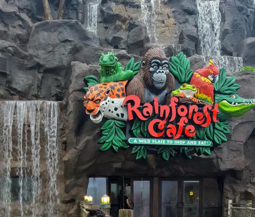 a sign for the rainforest cafe in front of a waterfall at Gulf View, Flip Flop Oasis GVR06432 in Galveston