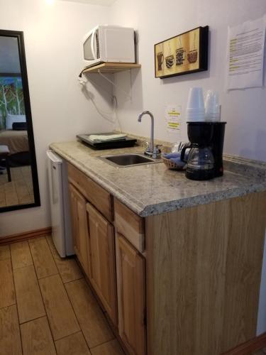 Una cocina o zona de cocina en Ouray Inn