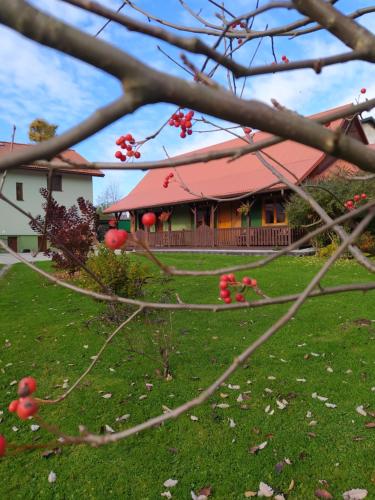 a house with a red roof in a yard at Pod Modrzewiami in Milówka